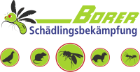 Borer Schädlingsbekämpfung