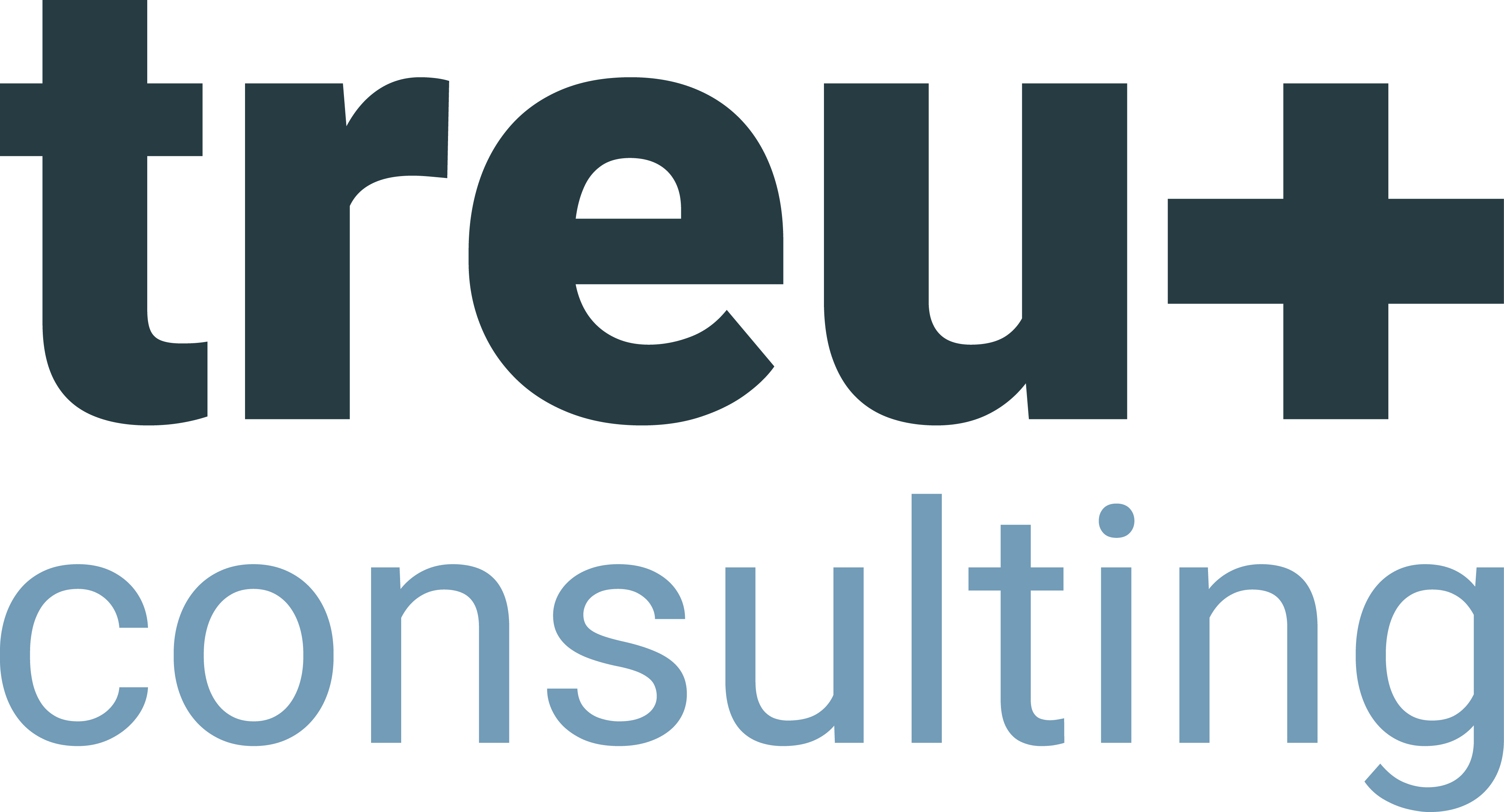treuplus consulting gmbh